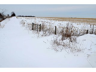 Property photo 22 - AUCTION, 206 Contiguous Acres offered in 5 Tracts